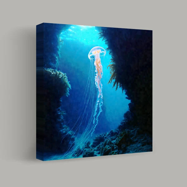 Luminescence Beneath the Waves view 1