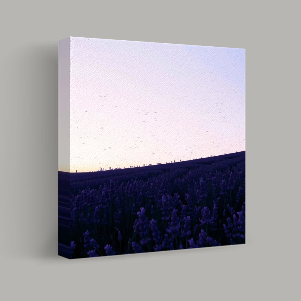 Lavender Horizon — canvas