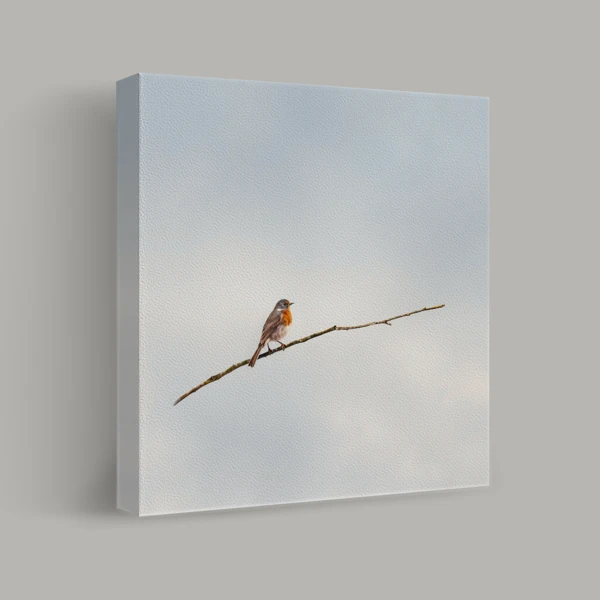 Solitude on a Branch view 1