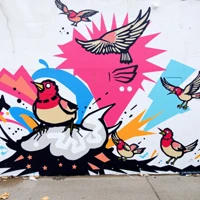Avian Choreography thumbnail 2