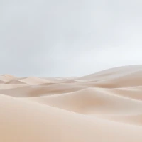 Whispering Sands of Solitude thumbnail 2