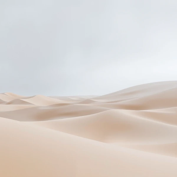 Whispering Sands of Solitude