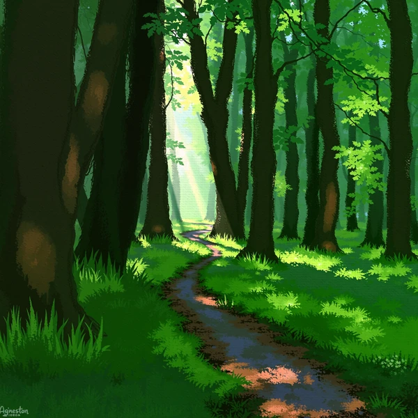Pathway Through the Woodland