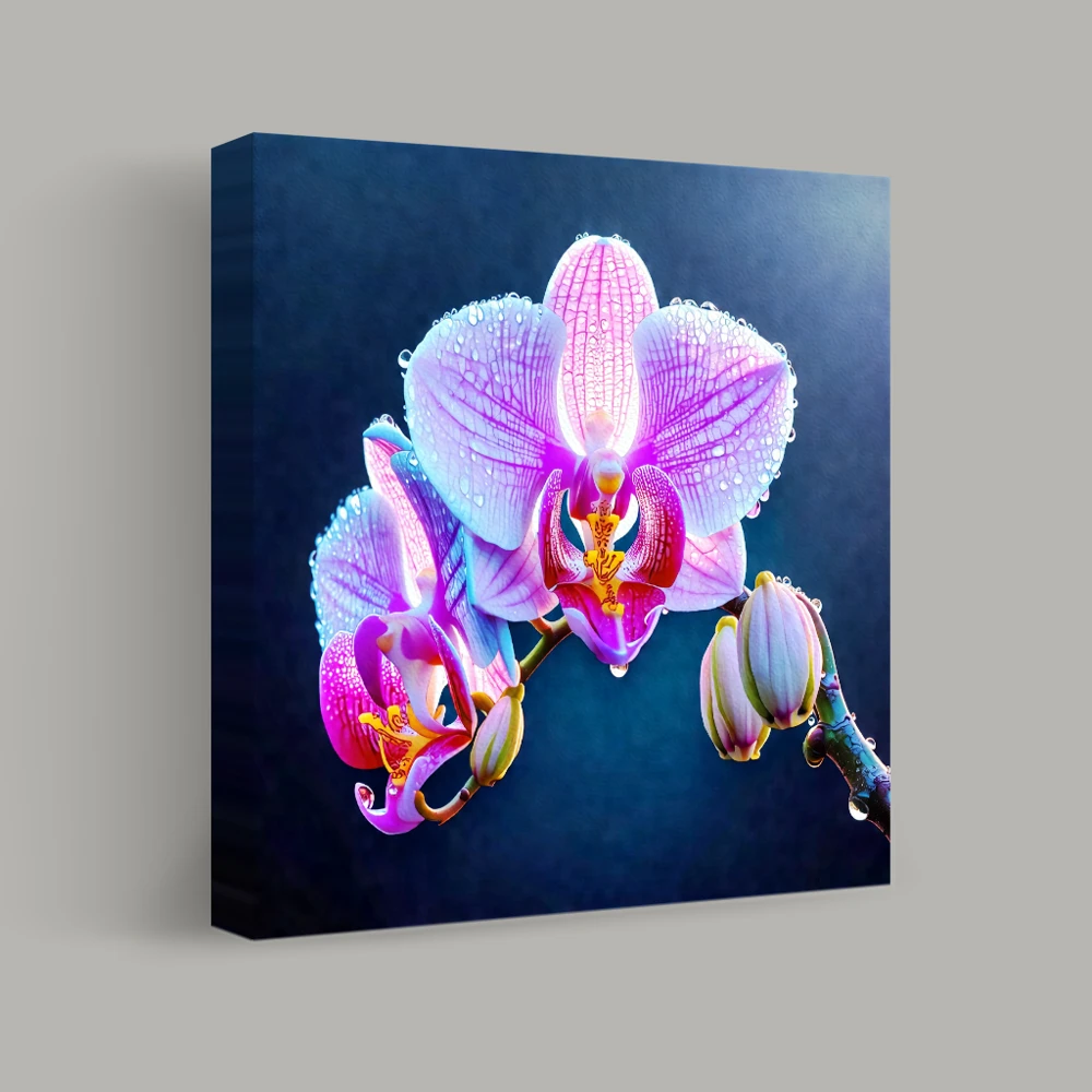 Strahlende Orchideen-Reflexionen — canvas