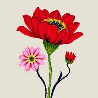 Fiorisce in vivida armonia miniatura 2
