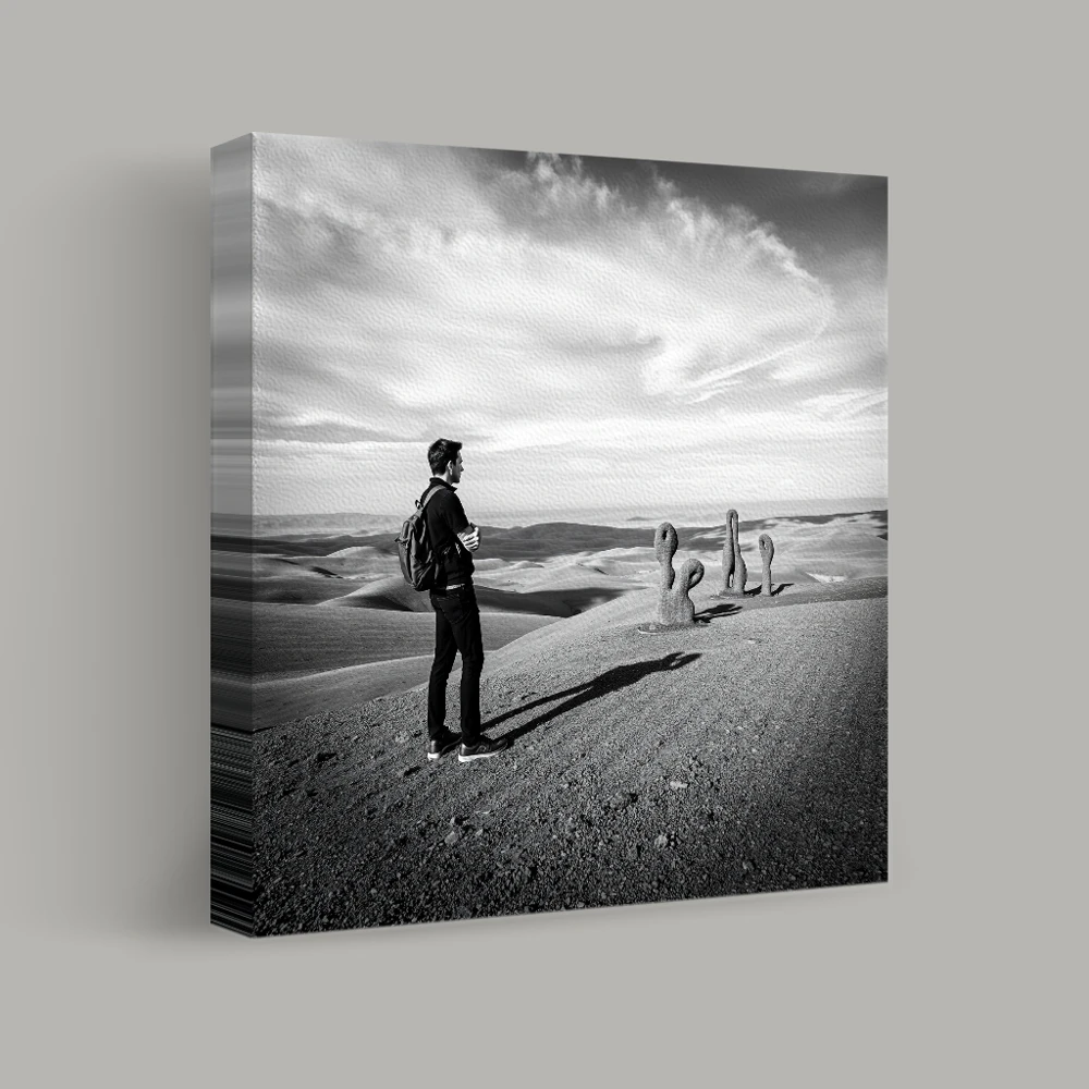 Encounter on the Dunes — canvas