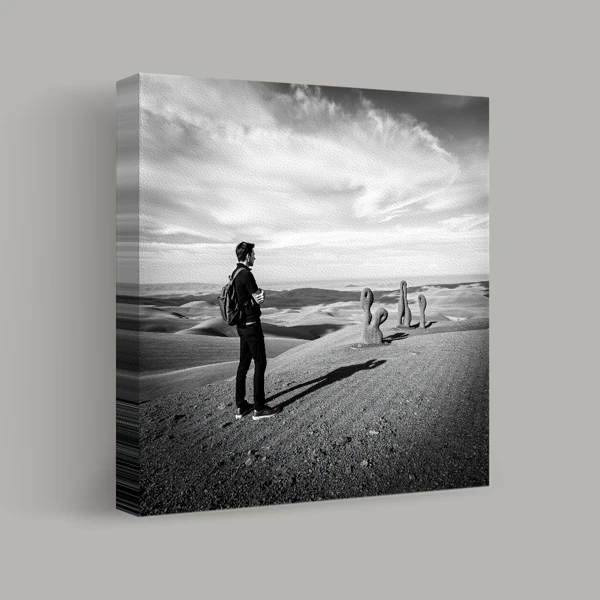 Encounter on the Dunes view 1