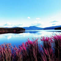 Ruhige Reflexionen Miniaturansicht 2