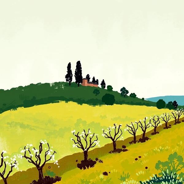 Rolling Hills and Blossoming Fields view 2