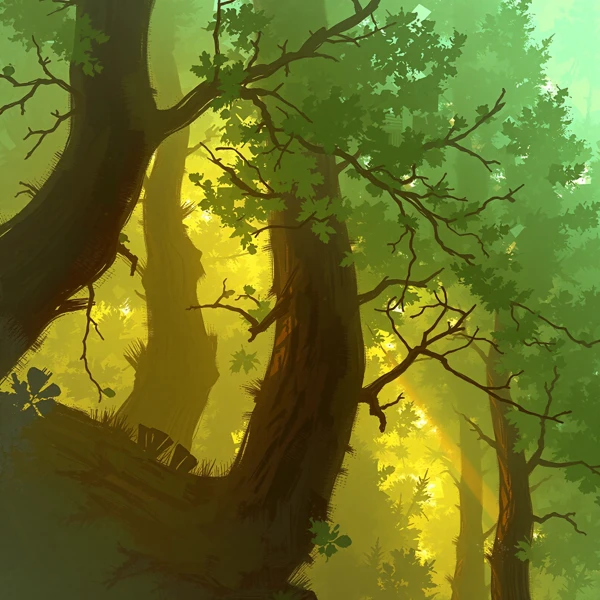 Whispering Canopy view 2