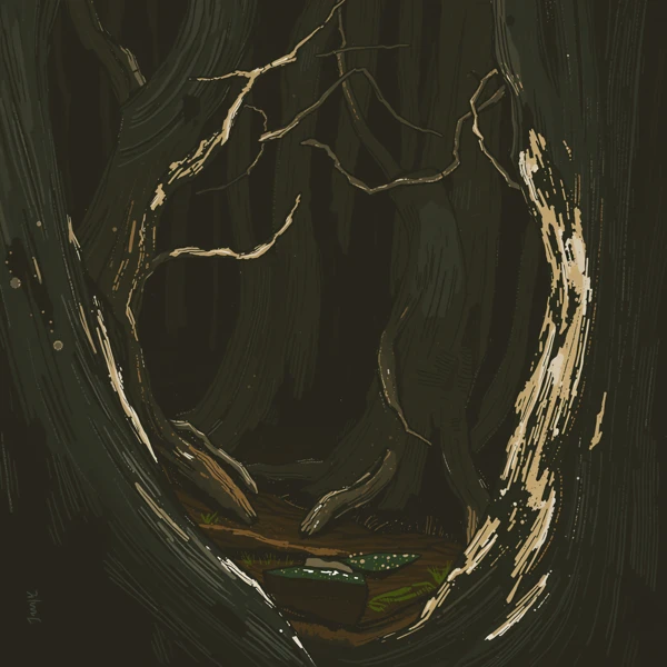 Enchanted Forest Clearing