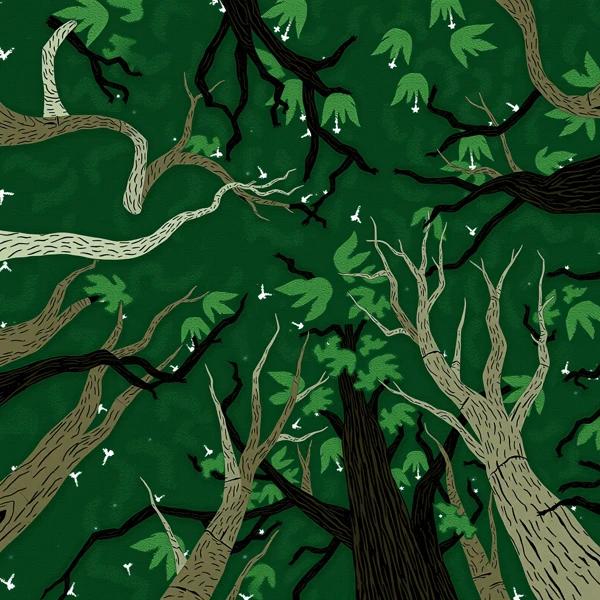 Whispering Canopy
