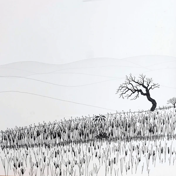 Contours of Solitude view 2