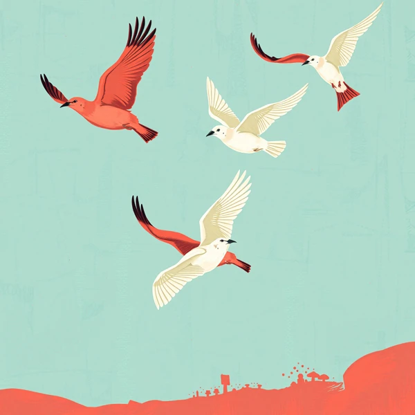 Flight Over Coral Plains