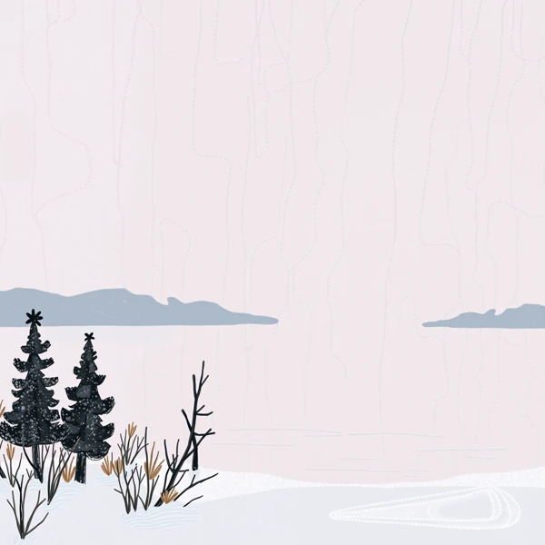 Winter's Quiet Canvas