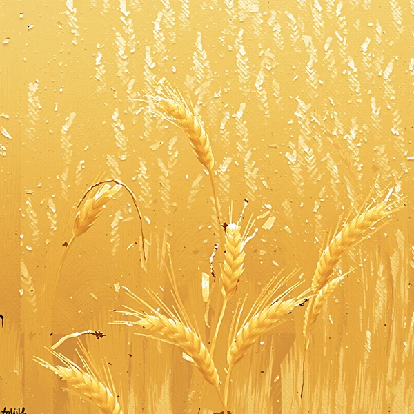 Fields of Gold