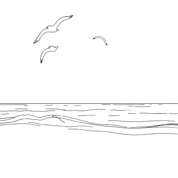 Coastal Drift view 2