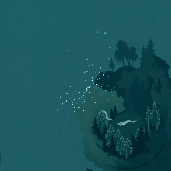 Echoes of the Enchanted Forest