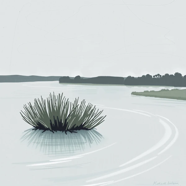 Reflections on a Quiet Lake