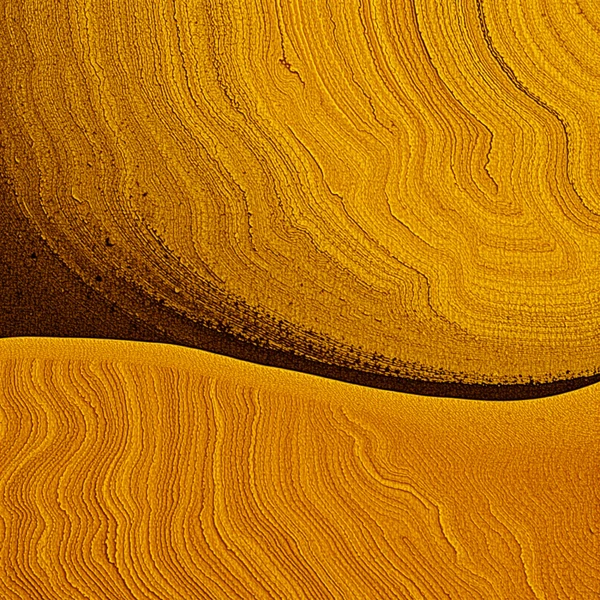 Ripples of Golden Sands