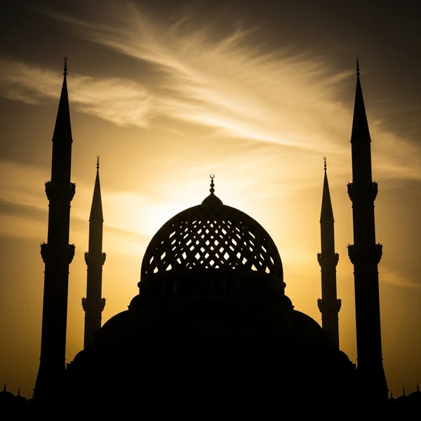 Silhouette of Faith view 2