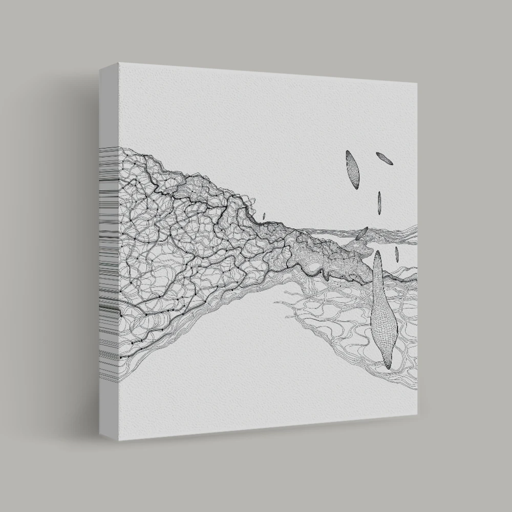 Contornos del Descenso — canvas