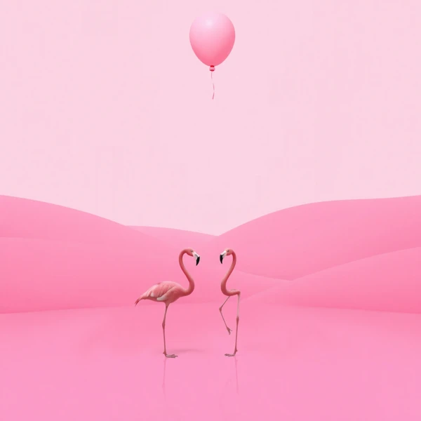 Pink Dialogue view 2