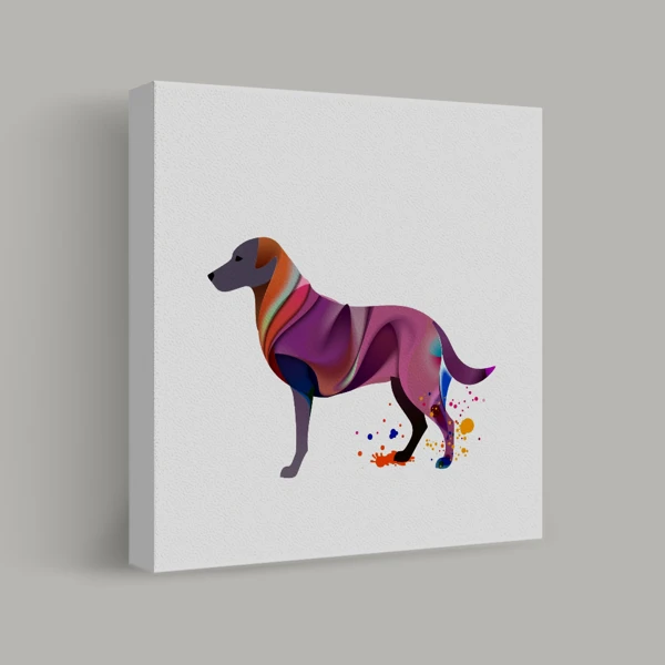Color Spectrum Canine view 1