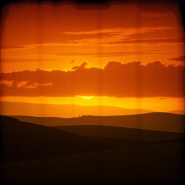 Shadows of Sunset