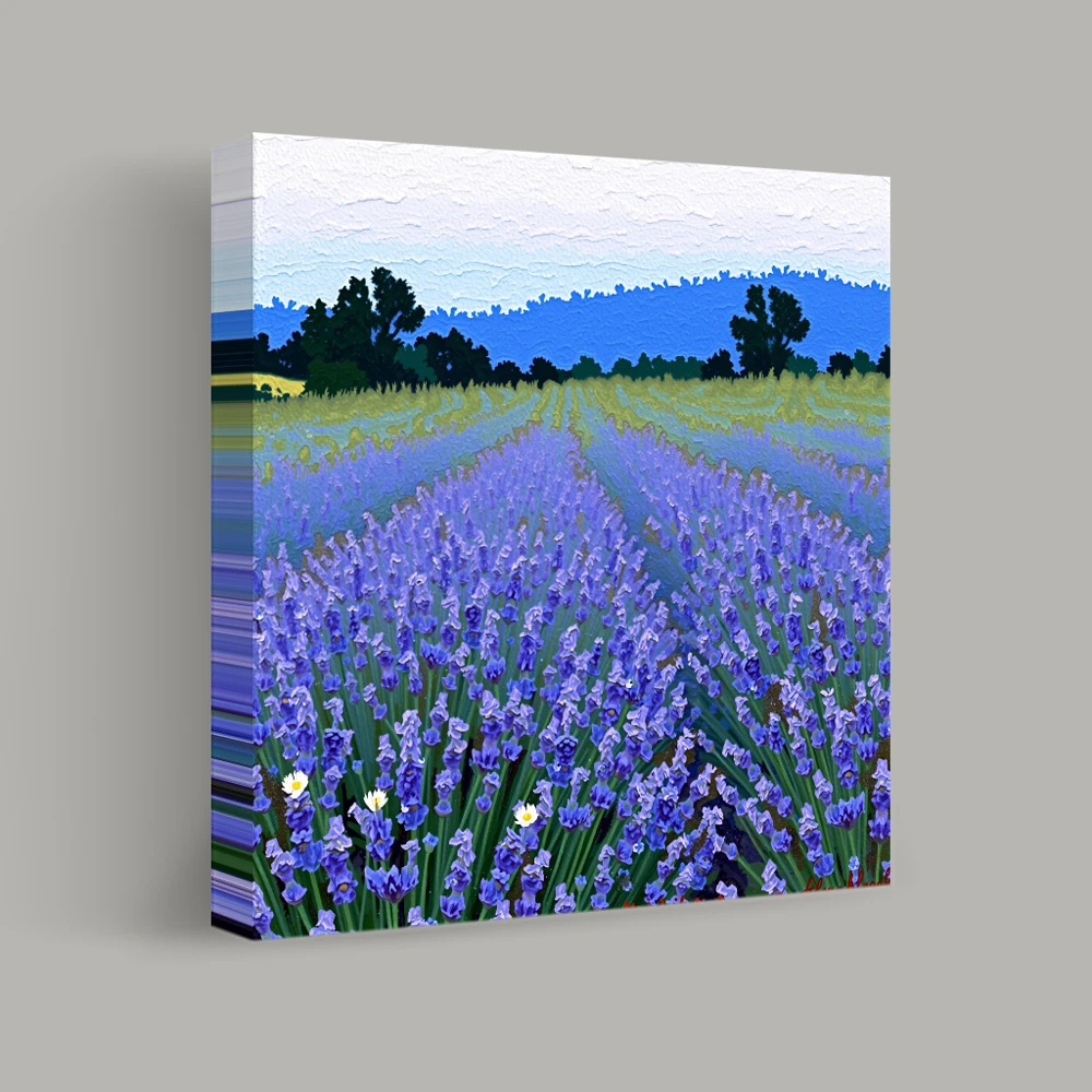 Fields of Lavender Dreams — canvas