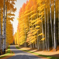 Golden Canopy Pathway thumbnail 2